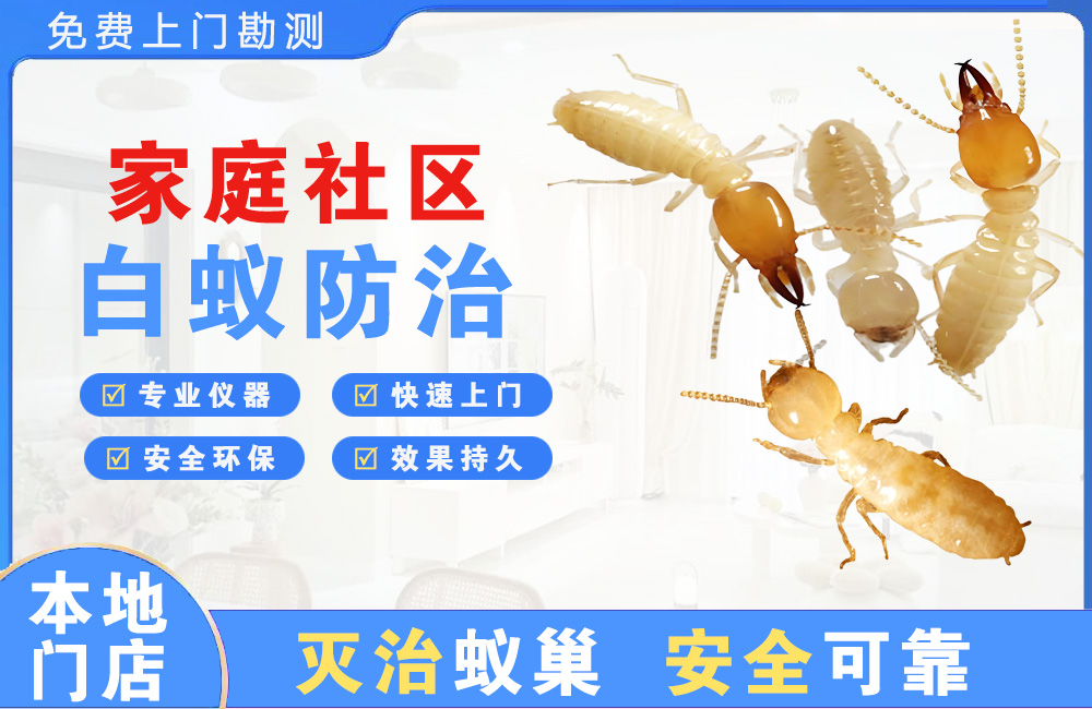 莆田家庭社区白蚁防治