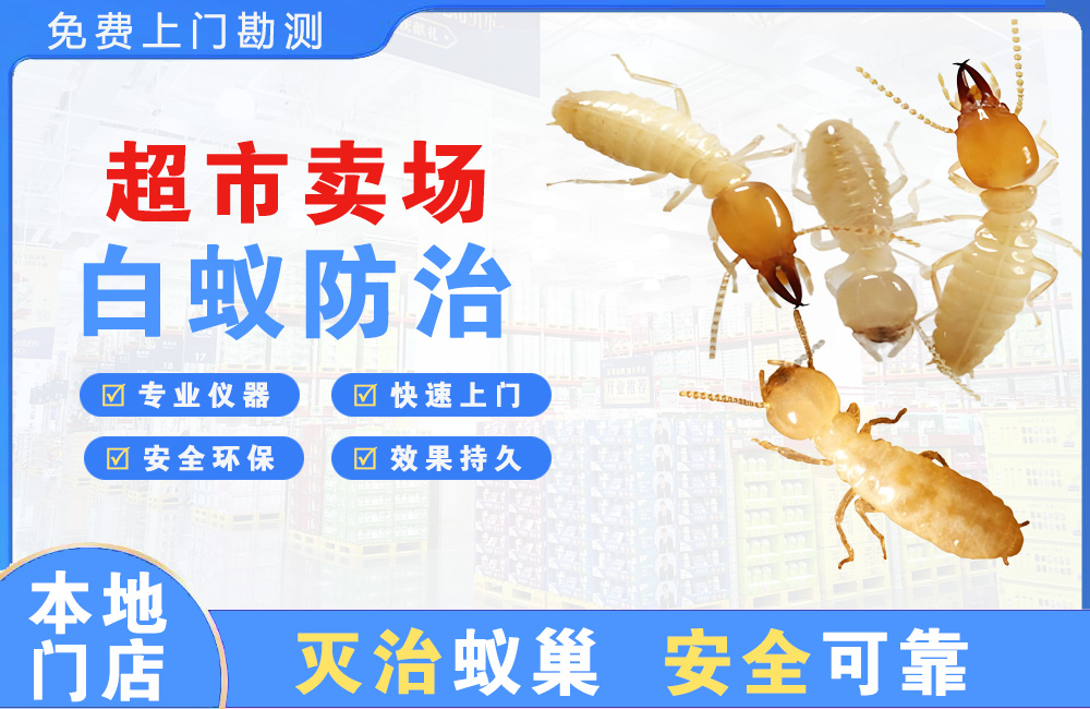 莆田超市卖场白蚁防治