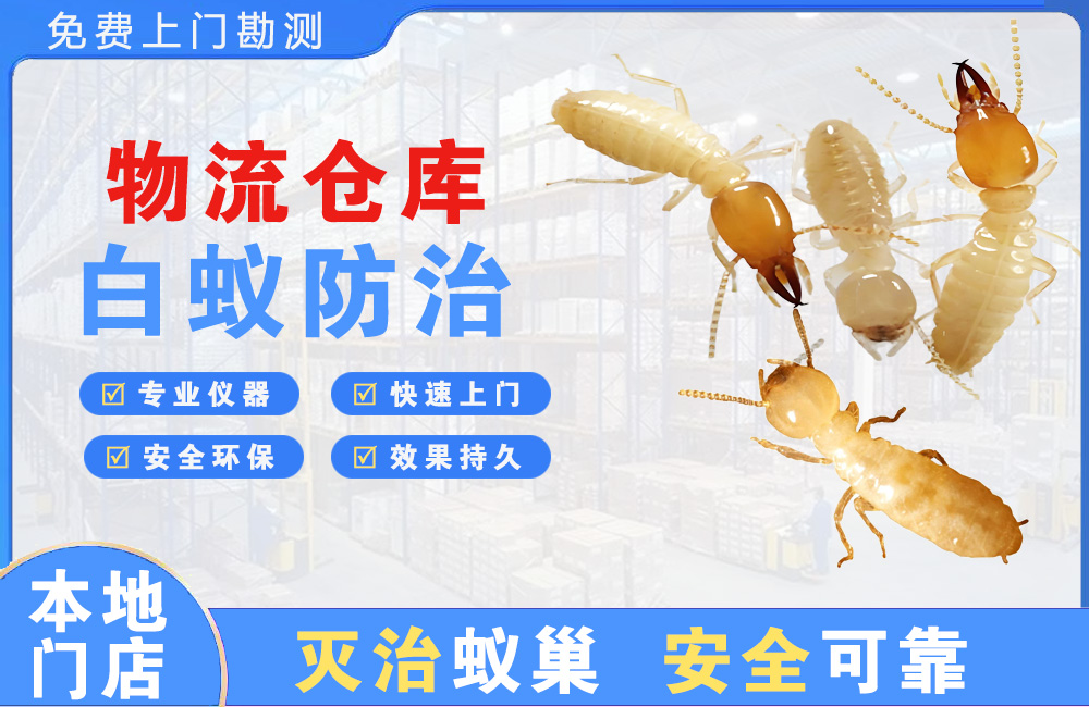 莆田物流仓库白蚁防治