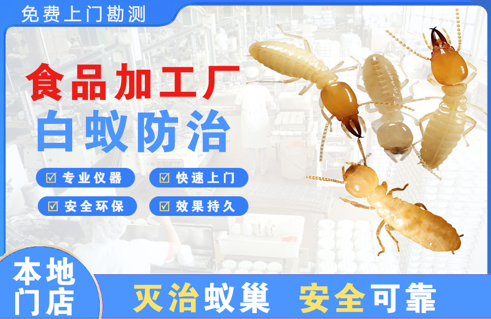 莆田食品加工厂白蚁防治
