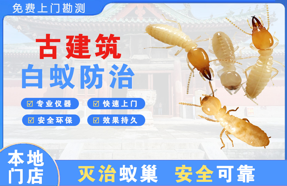 莆田古建筑白蚁防治