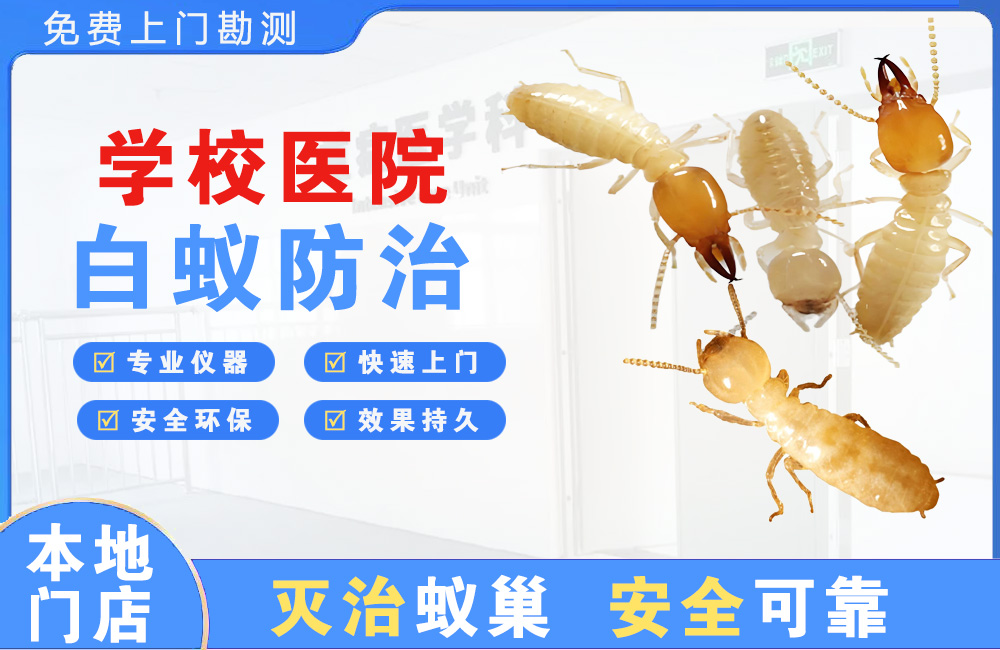 莆田学校医院白蚁防治