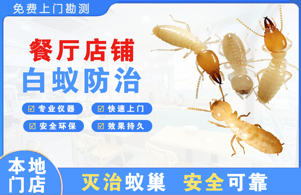 莆田餐厅店铺白蚁防治